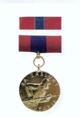 Picture5